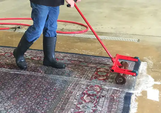 Rug & Carpet Cleaning Services in 