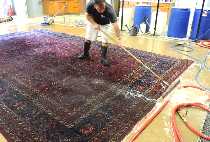 Rugs from Water Damage
