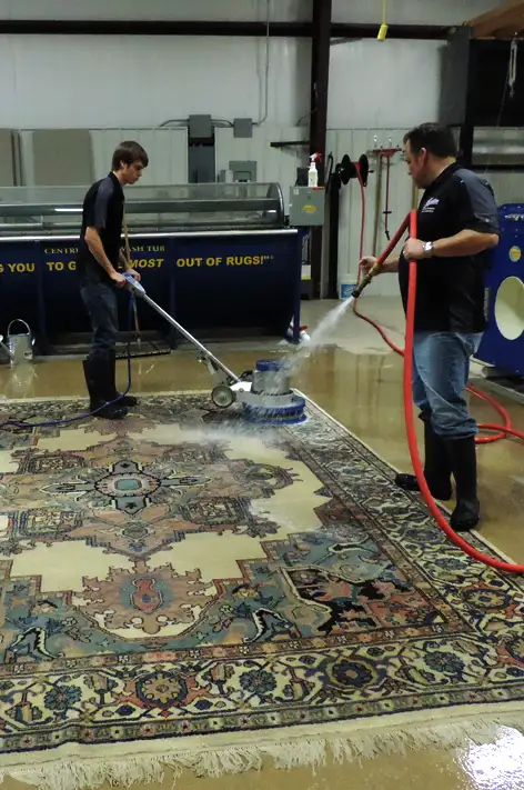 Rug Cleaning and Washing