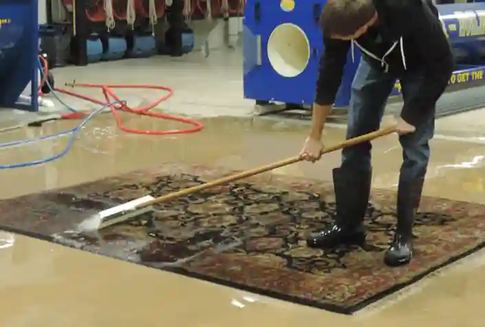 Area Rug Cleaning Services