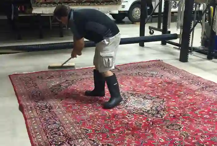 Oriental Rug Cleaning Services