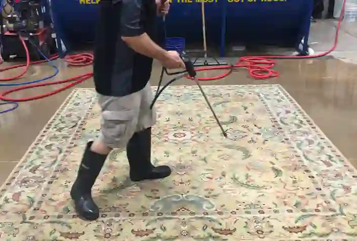 Oriental Rug Cleaners