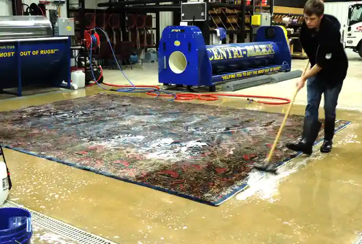 Persian Rug Cleaning Services Persian Rug Cleaning Services
