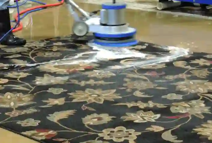 Rug Cleaning Services