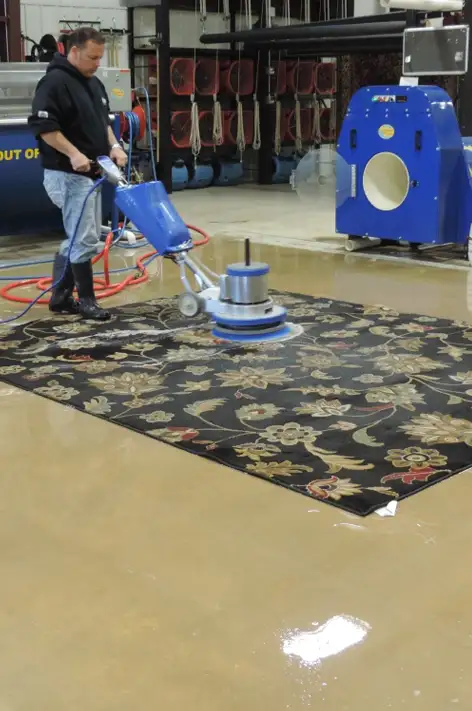 Pet Odor & Stain Removal Pet Odor & Stain Removal