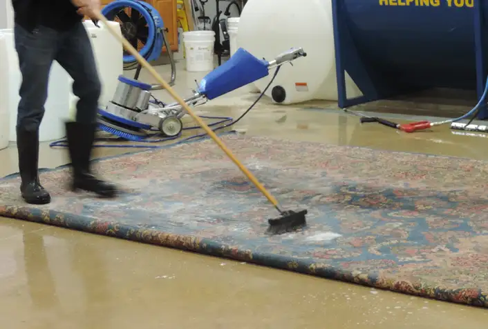 rug clean rug clean