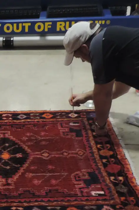 Pet Odor & Stain Removal Services Pet Odor & Stain Removal Services