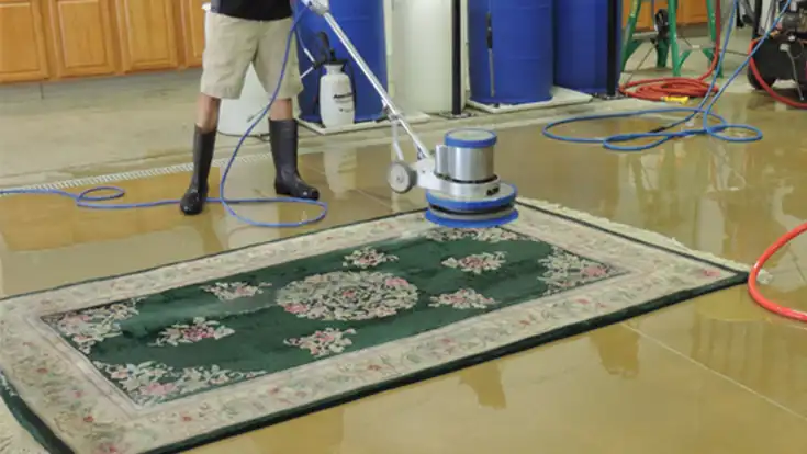 Rug & Carpet Cleaning Services in 