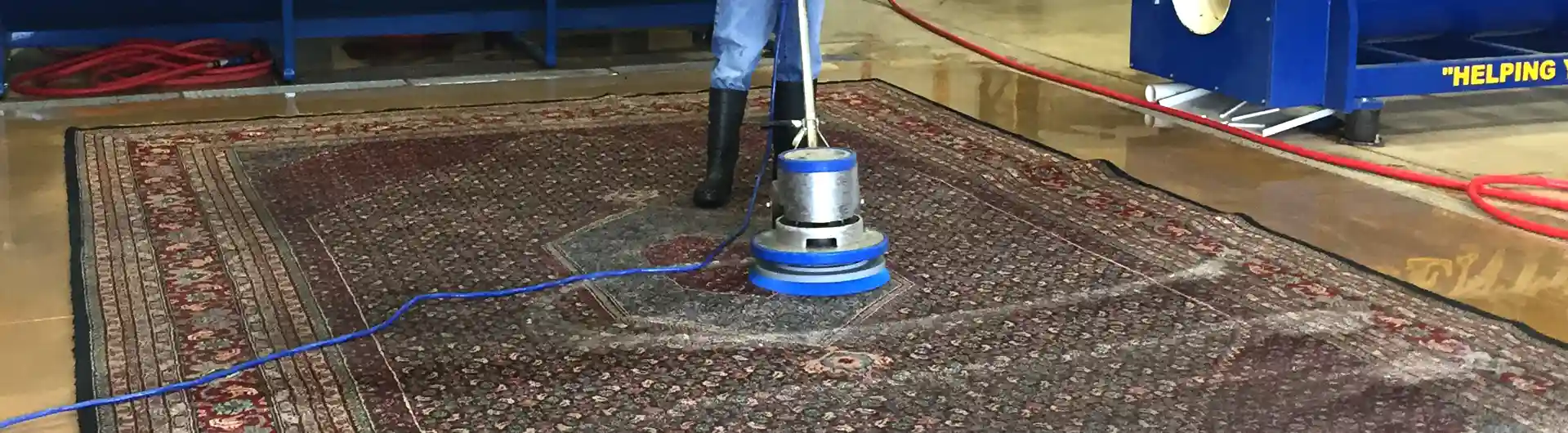 Pet Stain Removal