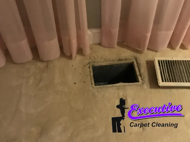 Water damage clean-up