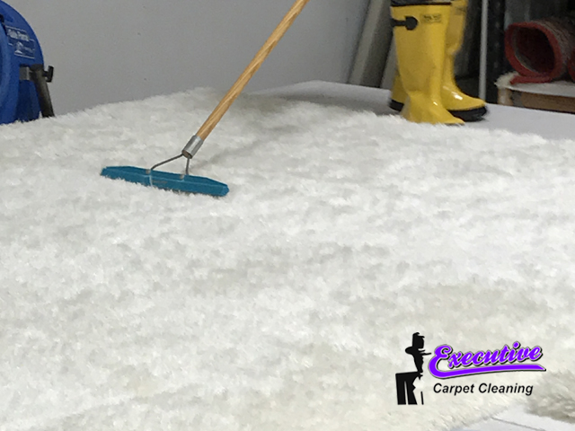 Dry carpet cleaning