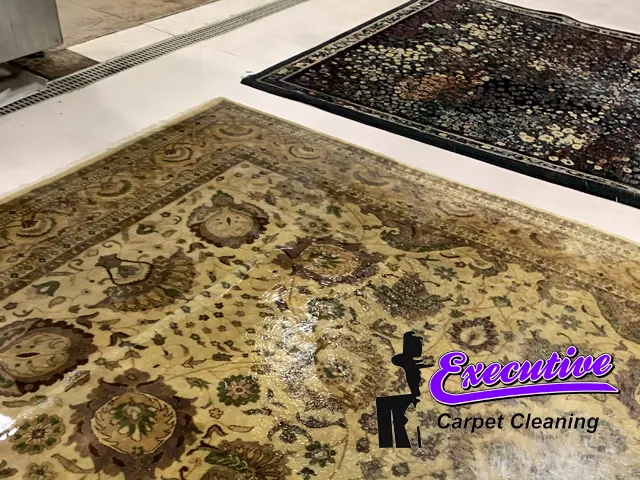 Carpet cleaning