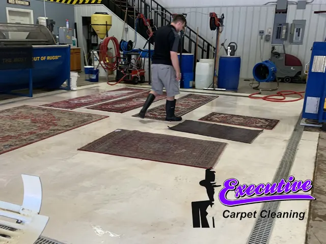 Carpet cleaning