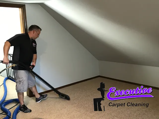 Persian Carpet cleaning