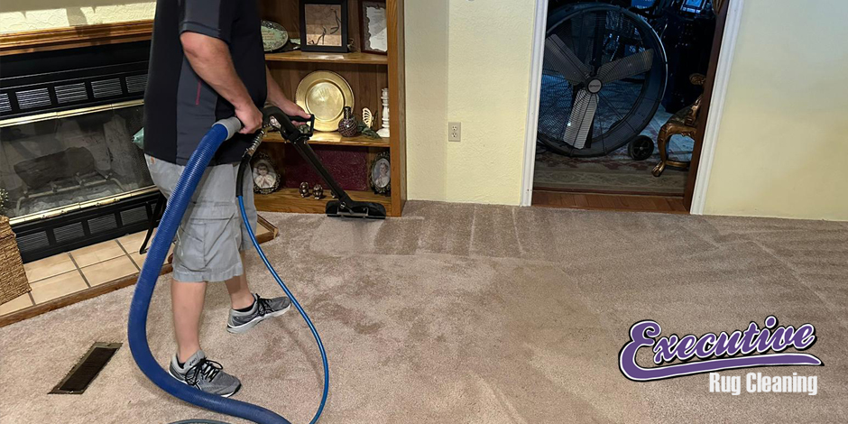 Best Carpet Cleaning Levitate Home Cleanliness