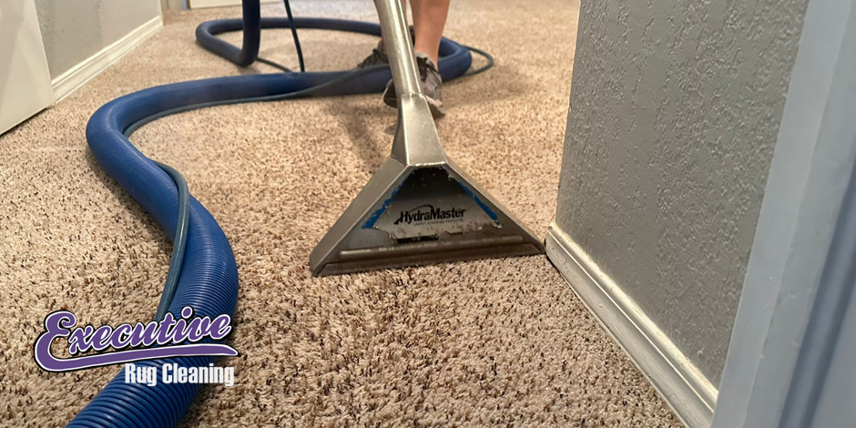 Expert Carpet Cleaning Service in Carrier