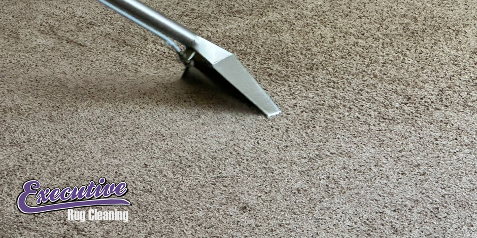 Expert Carpet Cleaning Service