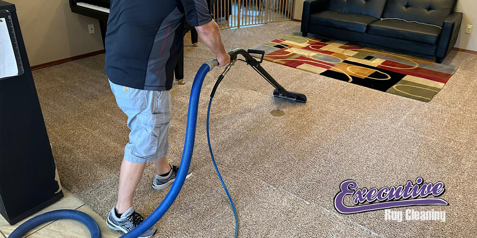 Premier Carpet Cleaning Service