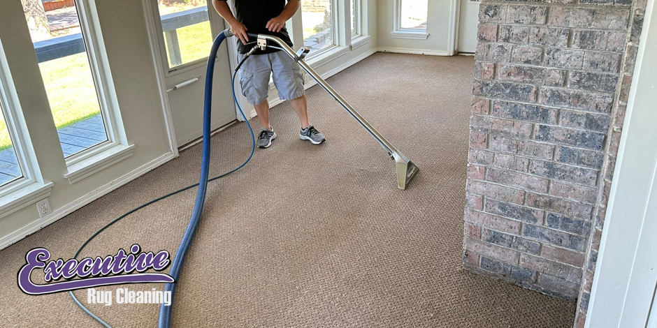 Professional Carpet Cleaning Services