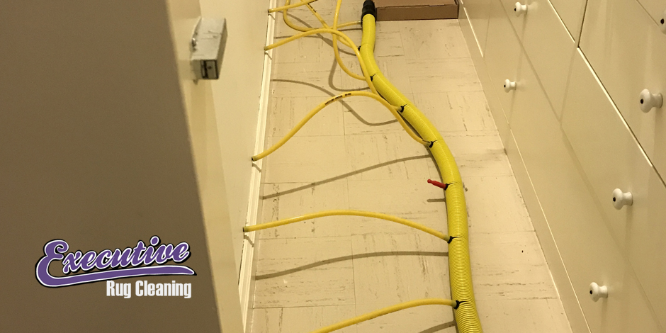 Trusted Water Damage Restoration