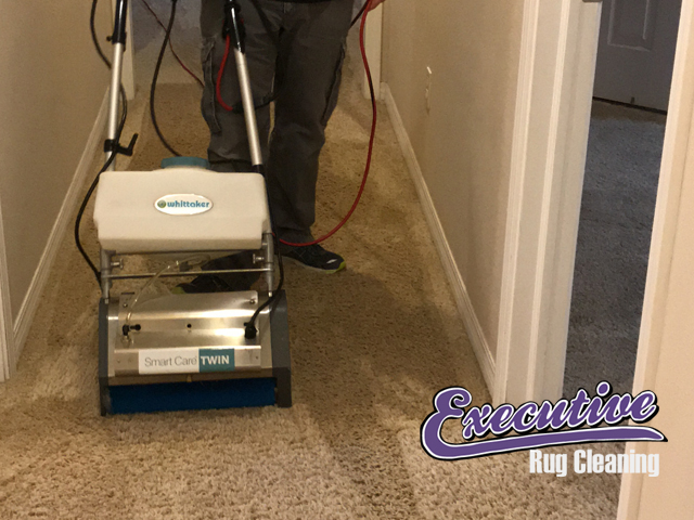 Expert Carpet Cleaning Services in Nash