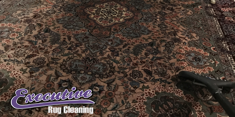 Professional Carpet Cleaning Services