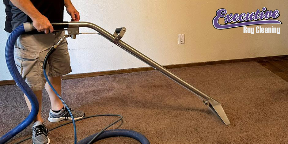 Professional Carpet Cleaning Services