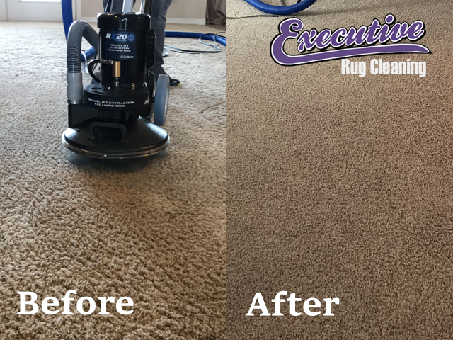 Professional Carpet Cleaning Services