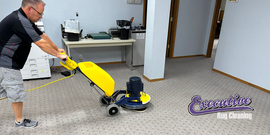 Professional Carpet Cleaning Services