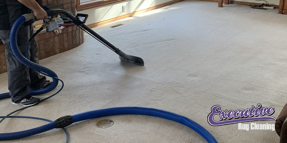 Professional Carpet Cleaning Services