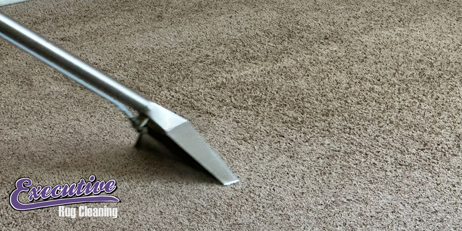 Professional Carpet Cleaning Services