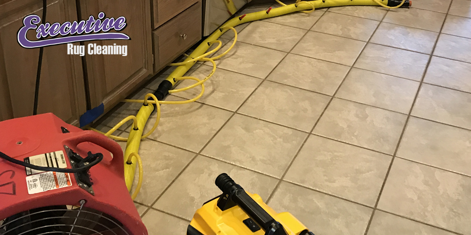 Professional Water Damage Restoration Solutions