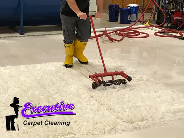 Area Rug & Carpet Cleaning Area Rug & Carpet Cleaning