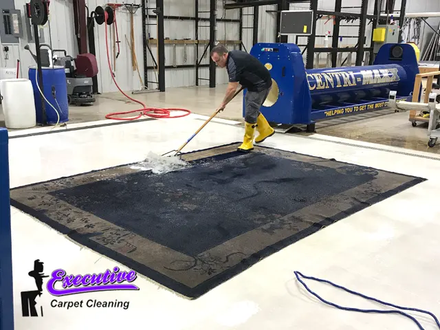 Oriental Rug & Carpet Cleaning