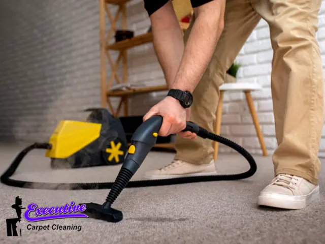 Dry Rug and Carpet Cleaning 2