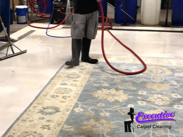 Persian Rug & Carpet Cleaning 1