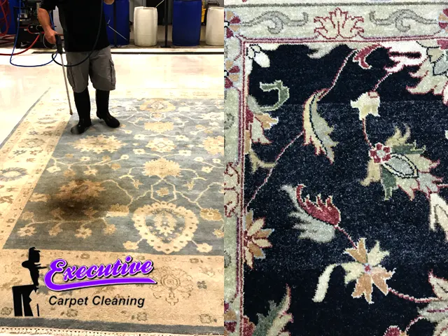 Persian Rug & Carpet Cleaning