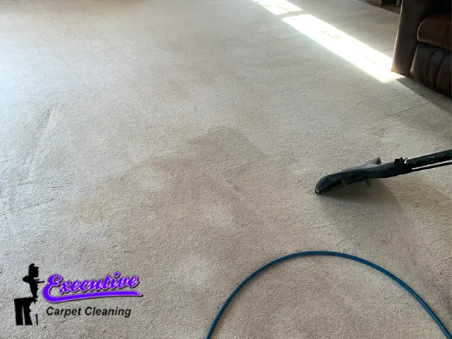 Rug Deep Cleaning