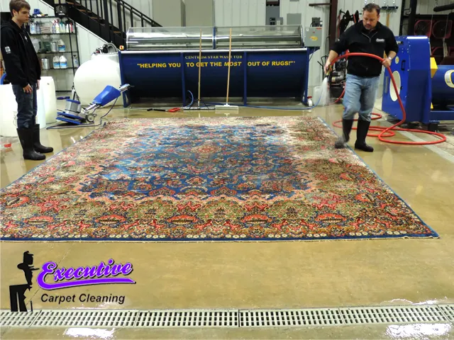 Rug Cleaning Services