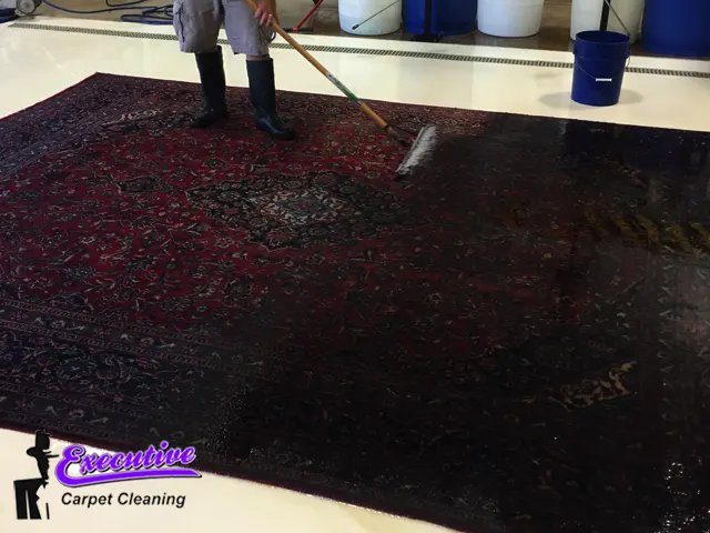 Rug Cleaning Services
