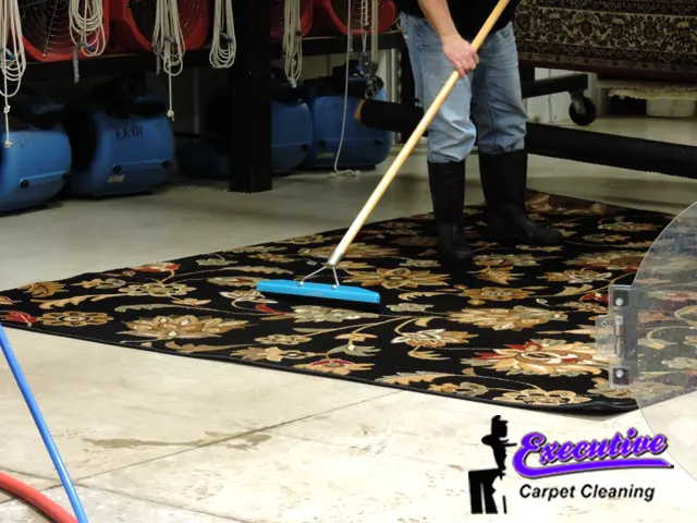 Wool Rug & Carpet Cleaning