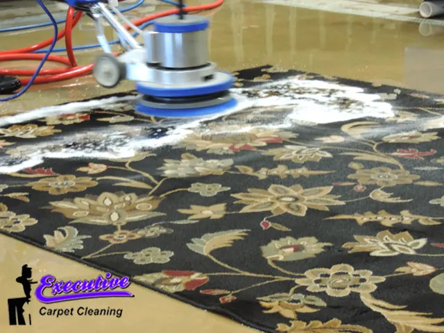 Wool Rug & Carpet Cleaning