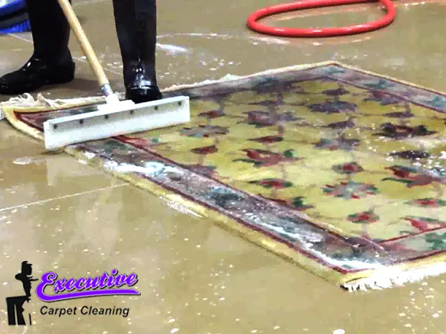 Oriental Rug Cleaning