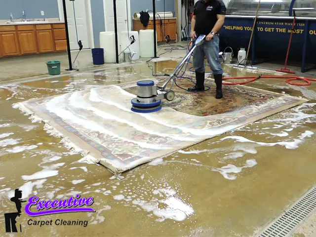 Oriental Rug Cleaning