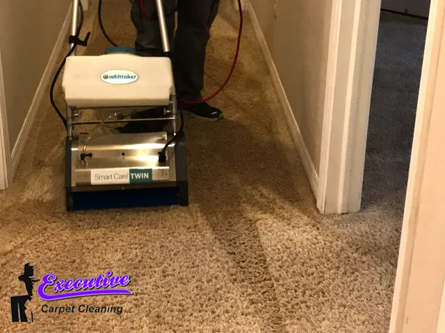Persian Carpet Washing Persian Carpet Washing