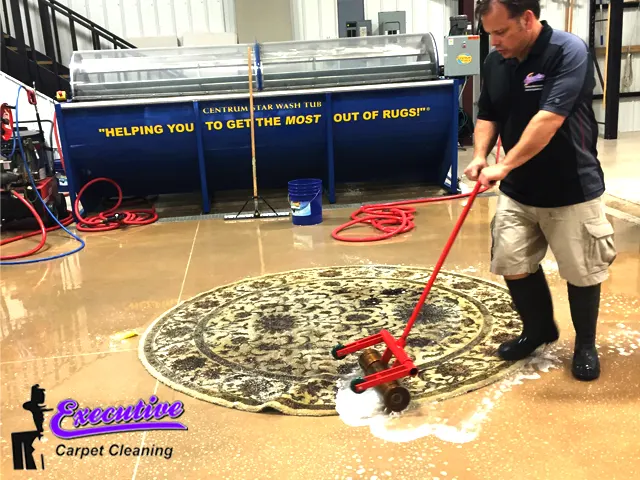 Pet Odor Removal Services