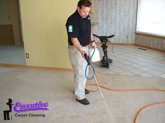 Pet Stain Removal Services