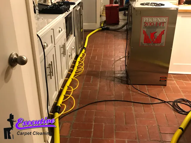 Water Extraction Services