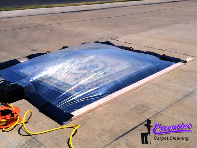 Water Removal Services