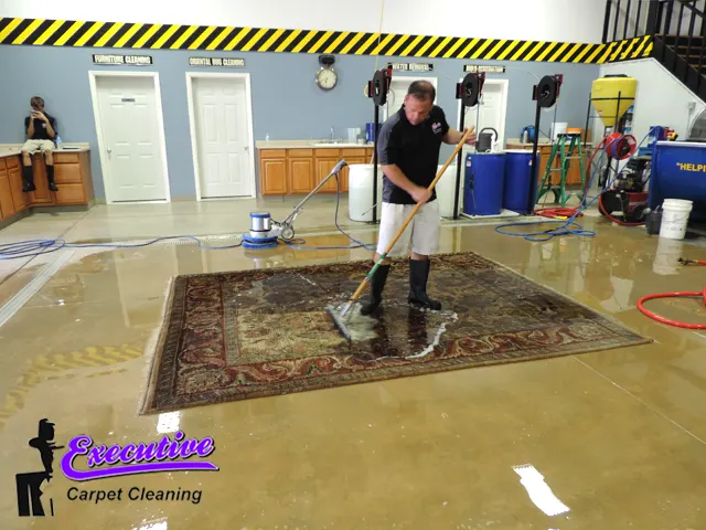 Oriental Carpet Cleaning